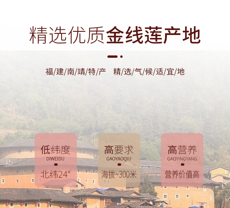 開花<a href=http://m.lidekc.cn/ target='_blank'>金線蓮</a>干品