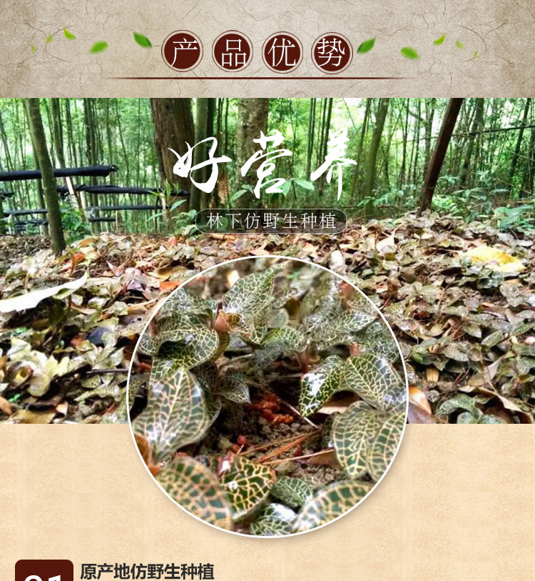 <a href=http://m.lidekc.cn/ target='_blank'>金線蓮</a>干品 20克禮盒裝